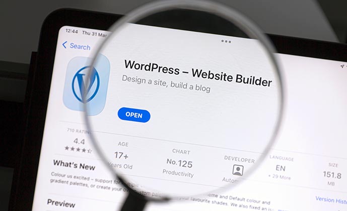 WordPress - prava izbira